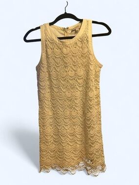 LOFT Scallop Beige Lace Sleeveless Mini Dress
